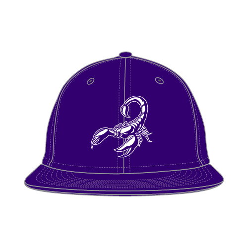Scorpions Fall Youth Game Hat - Purple