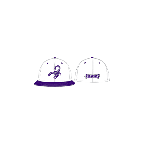 Scorpions Fall HS Game Hat - White/Purple